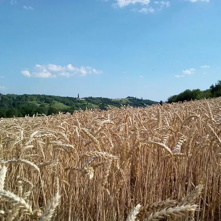 Levendula Vendeghaz Pensión Zalaszentgrót