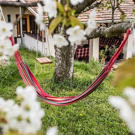 Guest house Levendula Vendeghaz *