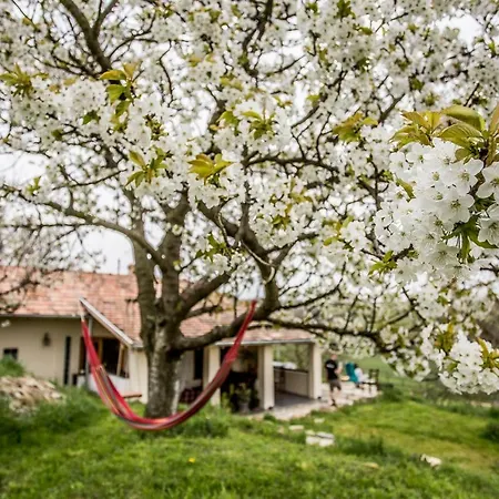 Guest house Levendula Vendeghaz