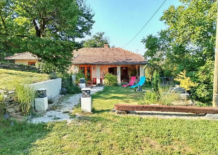 Levendula Vendeghaz Zalaszentgrót