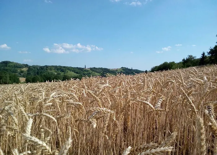 Levendula Vendeghaz Casa de hóspedes Zalaszentgrót