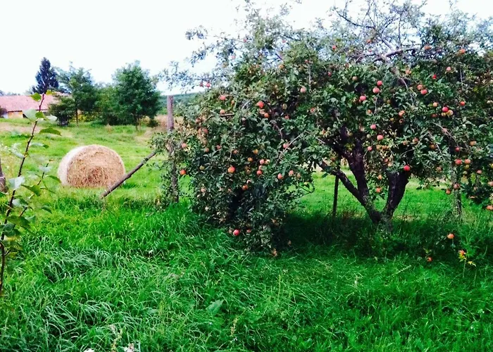 Casa de hóspedes Levendula Vendeghaz Zalaszentgrót