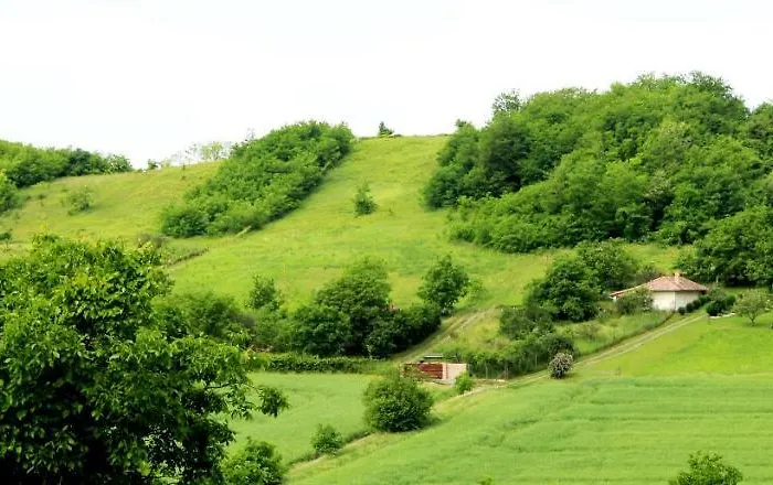 Levendula Vendeghaz Casa de hóspedes