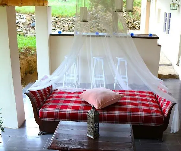 Levendula Vendeghaz Zalaszentgrót