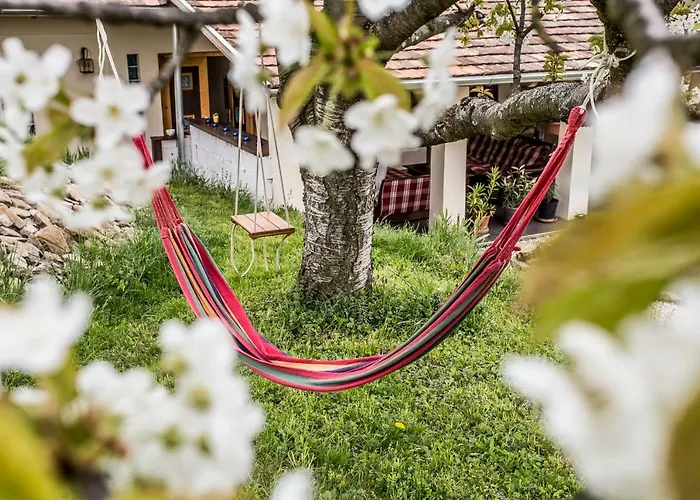 Casa de hóspedes Levendula Vendeghaz *