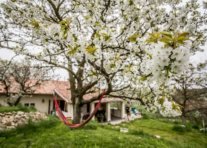 Casa de hóspedes Levendula Vendeghaz